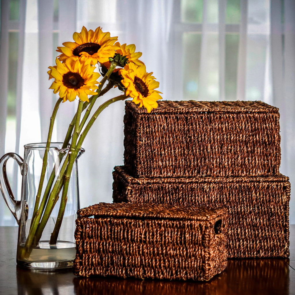 Trademark Innovations Set of 3 Rectangular Seagrass Baskets with Lids (Small)